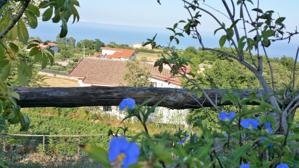 Agriturismo Agri Armonia San Lucido Εξωτερικό φωτογραφία